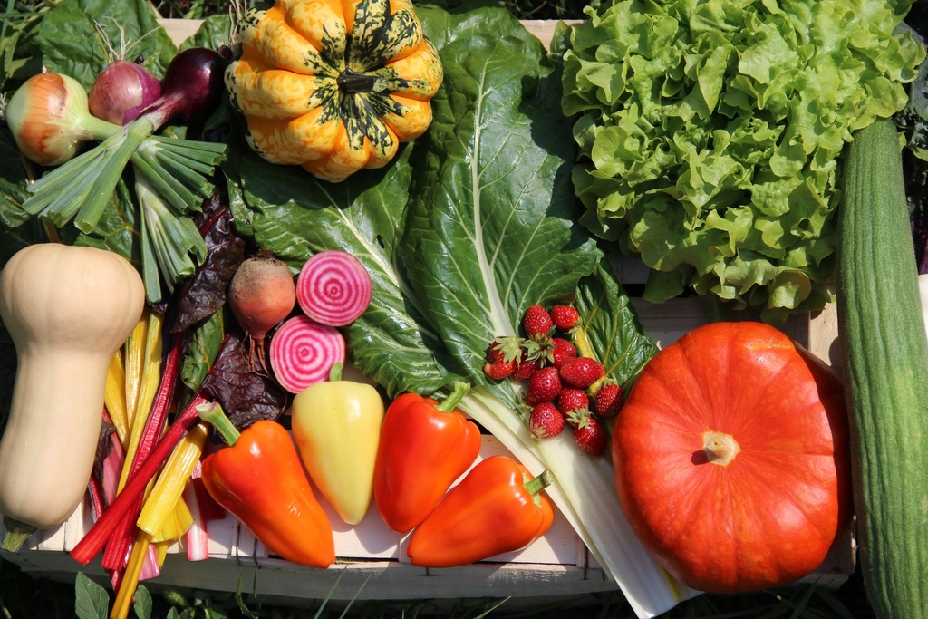 Panier Légumes